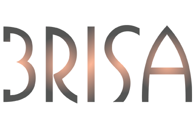 Logo - Brisa